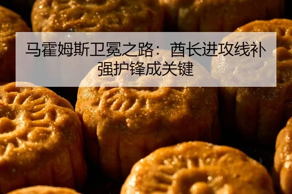 马霍姆斯卫冕之路:酋长进攻线补强护锋成关键