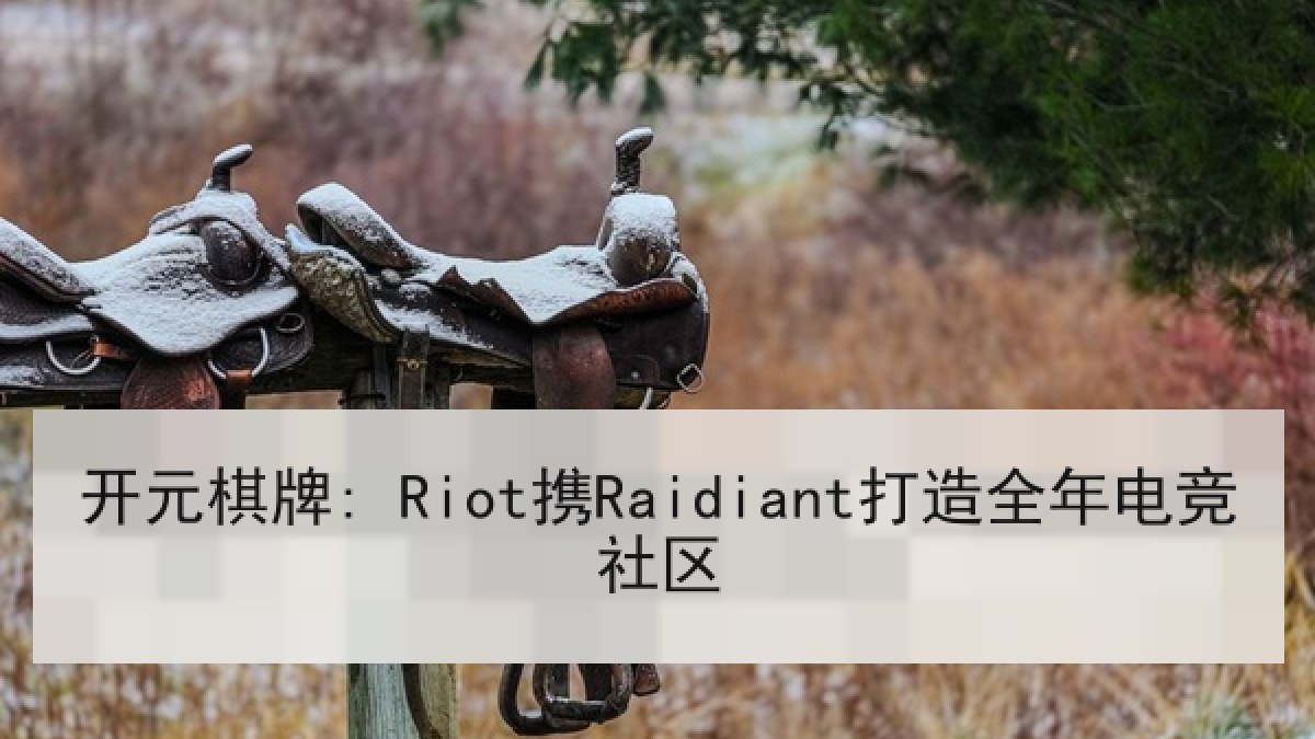 开元棋牌: Riot携Raidiant打造全年电竞社区
