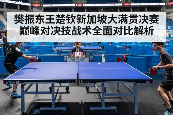 樊振东王楚钦新加坡大满贯决赛巅峰对决技战术全面对比解析