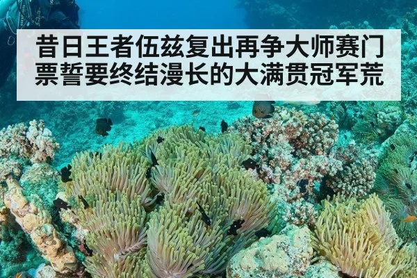昔日王者伍兹复出再争大师赛门票誓要终结漫长的大满贯冠军荒