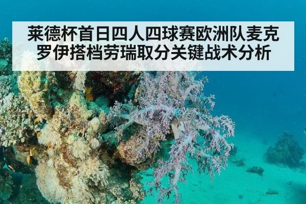 莱德杯首日四人四球赛欧洲队麦克罗伊搭档劳瑞取分关键战术分析