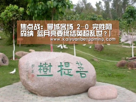 焦点战:曼城客场 2-0 完胜阿森纳 蓝月亮要终结英超乱世?|开元官方(图1) 开元电竞